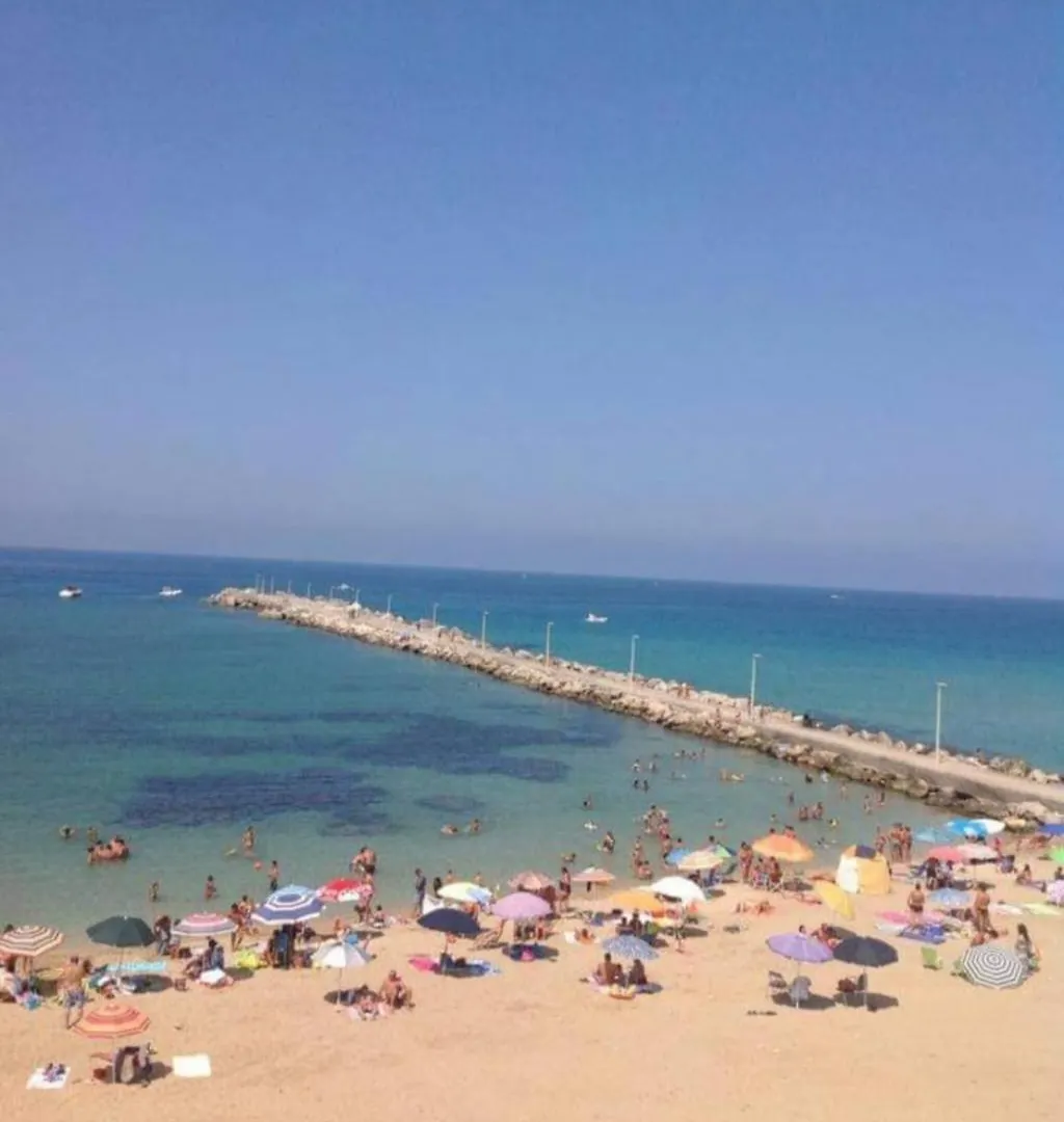 Holiday House Vitruvian Terrasini Italy